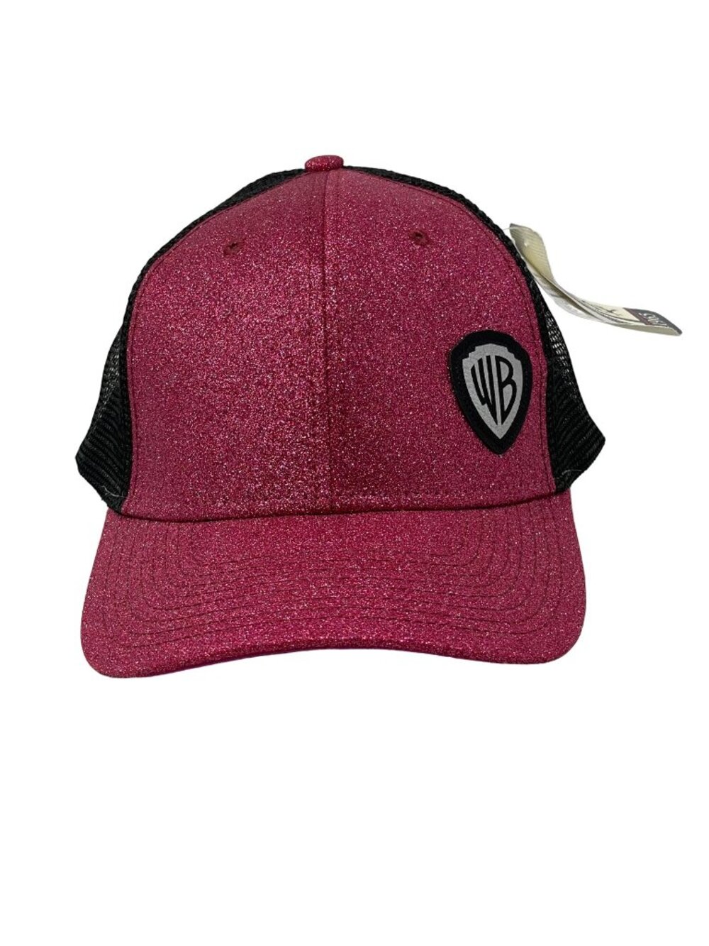 Warner Bros Glitter Sideline Cap Hat Ouray One Size Mesh Snapback Fuchsia NEW